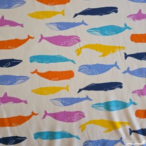 Kujira Bright Multi Interlock Knit, Birch Fabrics Archives