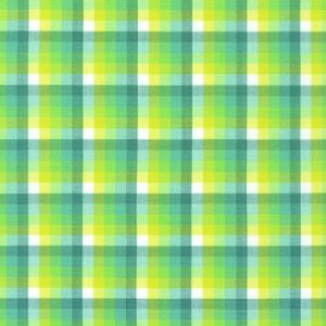 Check Check Sage | Kitchen Window Wovens by Elizabeth Hartman for Robert Kaufman – Quilting Cotton Fabric