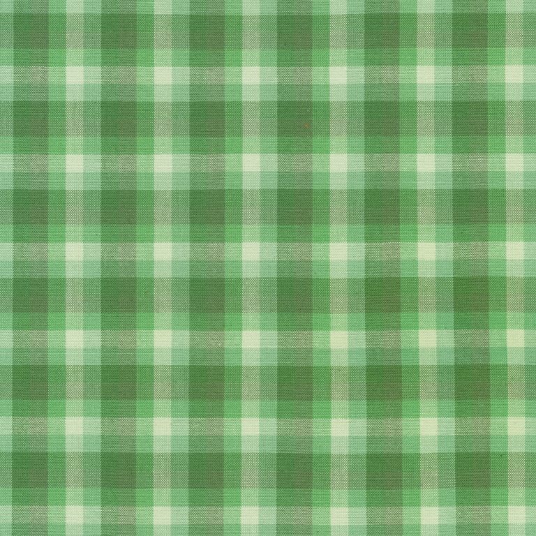 Check Check Palm | Kitchen Window Wovens by Elizabeth Hartman for Robert Kaufman – Quilting Cotton Fabric