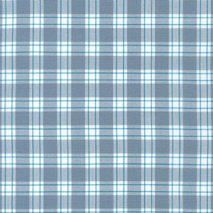 Pane Plaid Shark | Kitchen Window Wovens by Elizabeth Hartman for Robert Kaufman – Quilting Cotton Fabric