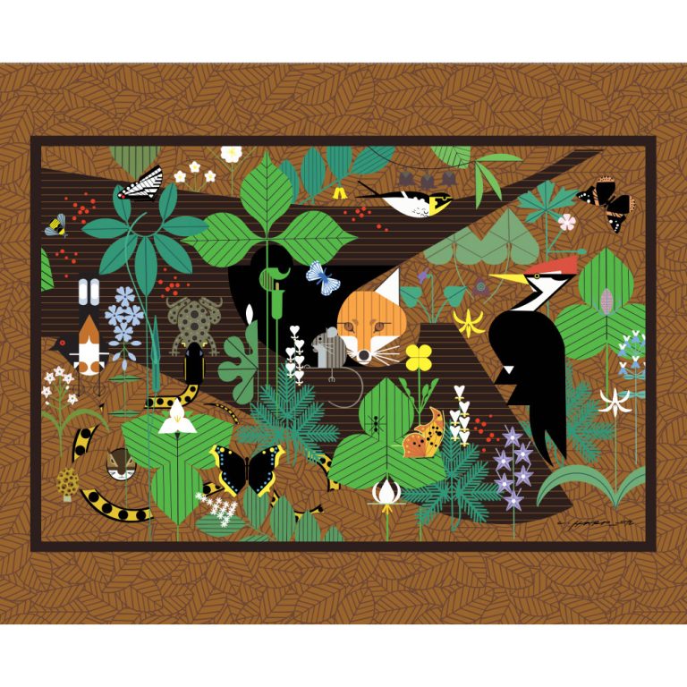 Woodland Wonders Poster Panel