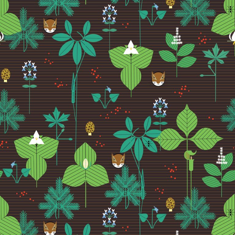 Woodland Wonders Foliage Brown, Charley Harper Woodland Wonder for Birch Organic Fabrics